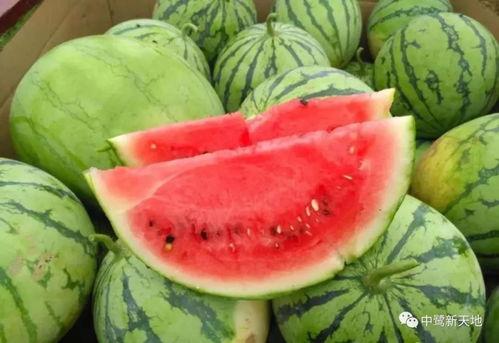 甜鑫吃瓜,揭秘娱乐圈那些不为人知的幕后故事