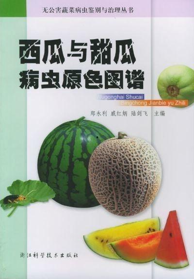 吃瓜原色图片大全,原色图片大全带你领略缤纷吃瓜时光