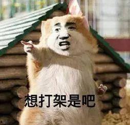 变态吃瓜图片大全