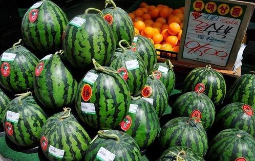 吃瓜种瓜卖瓜的图片大全