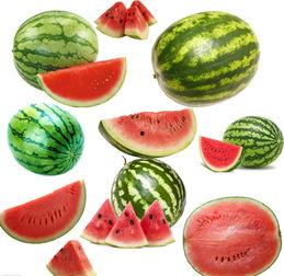 南下吃瓜,一场别开生面的吃瓜之旅