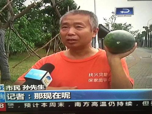 平阴吃瓜群众事件,一场网络舆论的风波与反思