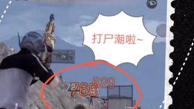 作者吃瓜党,吃瓜党视角下的娱乐圈风云录