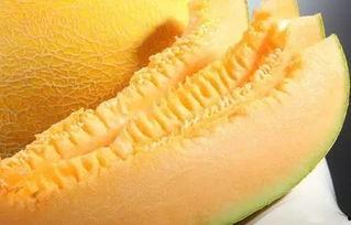 吃瓜南昌海伦,揭秘吃瓜群众的狂欢盛宴