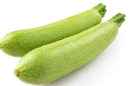 减肥吃生瓜,轻松享瘦的健康选择