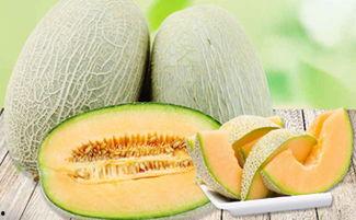 吃蜜瓜身上痒,揭秘吃蜜瓜引发的皮肤瘙痒现象