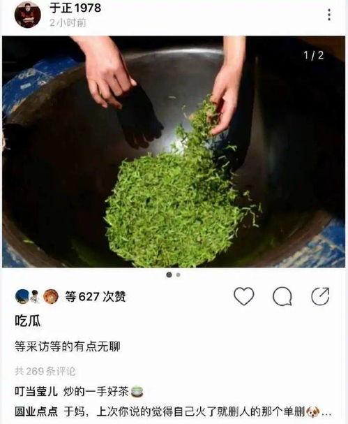 踩门槛吃瓜小说,揭秘踩门槛吃瓜小说的趣味世界