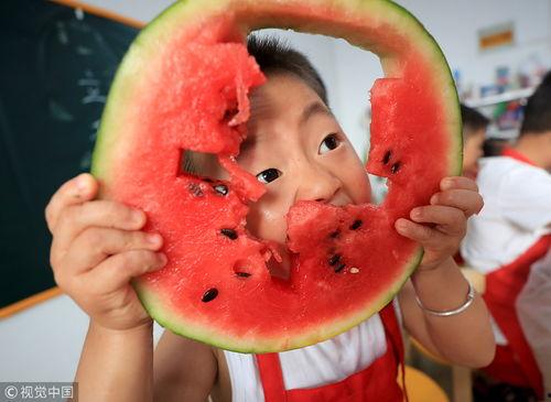 2017年  吃瓜,吃瓜群众见证的年度大事件盘点