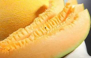 吃瓜南昌海伦,揭秘吃瓜群众的狂欢盛宴