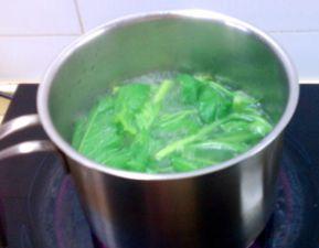 吃瓜煮水喝,品味生活百态