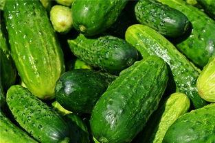 梦见别人切瓜吃,切瓜吃瓜，寓意何在？