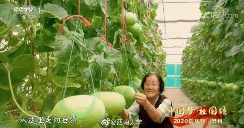 豆瓣自由吃瓜基地浙江