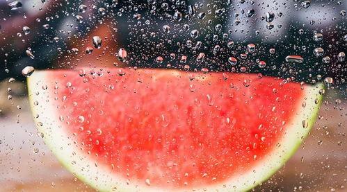 落雪吃瓜完结,一场跨越时空的奇幻之旅终章揭晓