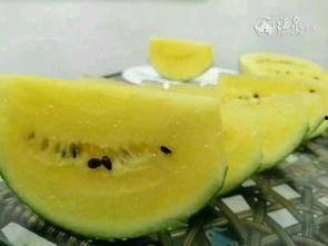 吃瓜喽,吃瓜群众视角下的娱乐圈风云录