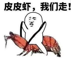 吃瓜群众对套路,揭秘那些让人防不胜防的陷阱